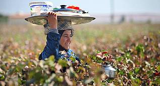 Her An Harran Foto Maraton 2 