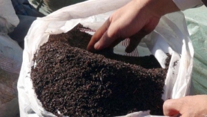 1 buçuk ton kaçak çay ele geçirildi