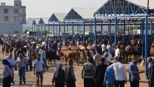 Bayram öncesi Hayvan pazarları hareketlendi