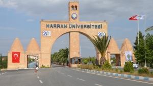 Harran Üniversitesi Pedagojik Formasyon sonuçları açıklandı
