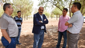 Karacurun Ormanı yeniden ağaçlandırılıyor