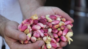 Sonunda buda oldu, bunuda kaptırdık