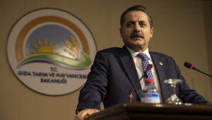 Bakan Çelik,297 milyon destekleme ödemesi yapılacak