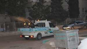 Haliliye’de haşere ile mücadele sürüyor