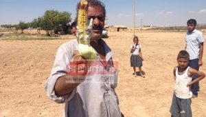 Harran'da Büyük tehlike