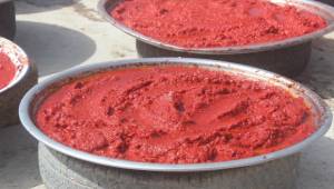 Kurutmalık sezonu başladı