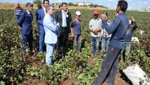 Pamuk tarlasındaki çocuklara Kaymakam’dan eğitim desteği