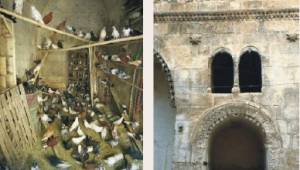 Şanlıurfa'da Kuş Takaları