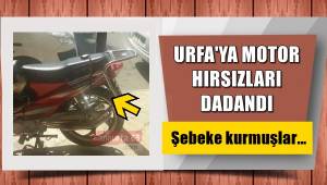 Şanlıurfa’ya Motor hırsızları dadandı