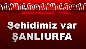 Şanlıurfa'ya şehit ateşi düştü