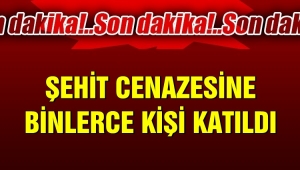 Şanlıurfalı şehit tekbir ve sloganlarla uğurlandı
