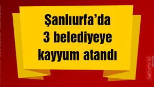 Urfa’da 3 belediyeye kayyum atandı