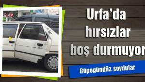 Urfa’da hırsızlar boş durmuyor