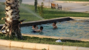 Uyarıları Dikkate Alan yok