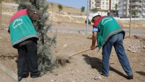 Bir yılda 50 bin m2 park alanı yapıldı