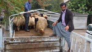 Genç çiftçilere hibe desteği devam ediyor