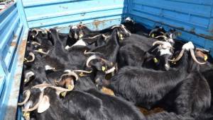 Genç çiftçilere hibe desteği