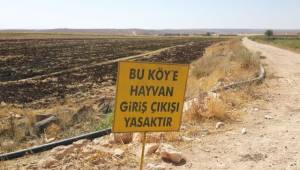 Siverek'te 1 mahalleye 6 ay karantina uygulanacak