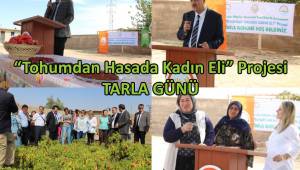 Tohumdan Hasada Kadın Eli Projesi Kapsamında Tarla Günü Yapıldı