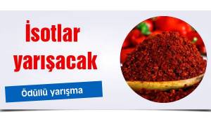 Urfa'da İsotların Şahı seçilecek