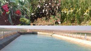 Urfa'da sulama sezonu sona erdi