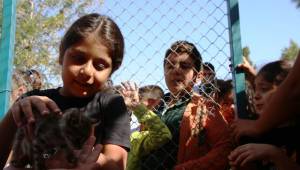 Urfalı Çoçuklara hayvan sevgisi aşılanıyor