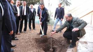 Öğretmenler Günü anısına fidan dikildi