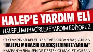 Ceylanpınar'da Halep'e yardım kampanyası başlatıldı