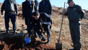 700 dekar alanda 30 bin adet fıstık fidanı toprakla buluştu