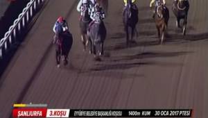 Eyyübiye Belediyesi Başkanlık Kupasını Akyıldırım Kazandı