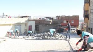 Eyyübiye’de merkezde 9 Kırsal’da 2 ekip çalışıyor-Video