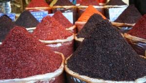 Harran İsotu Projesi başlıyor