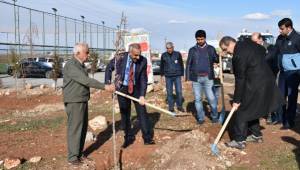 Hilvan'da Fidan dikimleri başladı