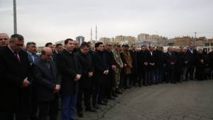 Karaköprü’den Halep’e yardım eli-Videolu Haber