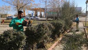 Kısas'ın Parklarına bakım yapıldı-Videolu Haber