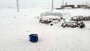 Viranşehir'de Kar Yağışı etkili oldu