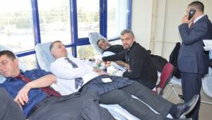 Viranşehir İlçe Milli Eğitim Müdürlüğü kan bağışladı