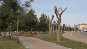 15 Temmuz Şehitler Parkı bitiyor-Videolu Haber