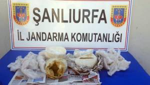 Birecik'te 2 kilo 495 gram toz esrar yakalandı