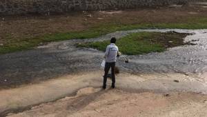 Curcup Deresinde sivri sinek mücadelesi erken başladı