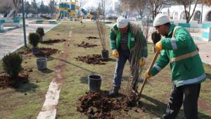 Haliliye’de Parklar güneşli günlere hazırlanıyor-Videolu Haber