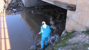 Harran'da ilaçlama çalışmaları hız kazandı