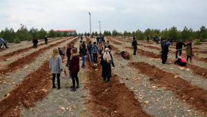 Osmanbey Kampüsünde Bin Fidan Dikildi-Videolu Haber