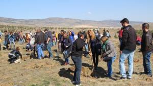 Açıköğretim öğrencileri Urfa'da ağaç dikecek