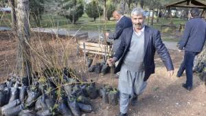 Bedava Üç bin Fidan 30 dakikada tükendi