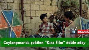 Ceylanpınar'da çekilen kısa film ödüle aday-Videolu Haber