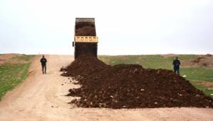 Ceylanpınar'da yeni bağlanan mahallenin yolu yapılıyor