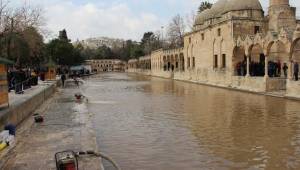 Urfa'nın markası Balıklıgöl tehlikede-Videolu Haber