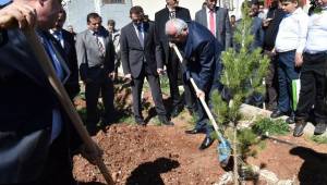 Vali Tuna engellilerle birlikte fidan dikti