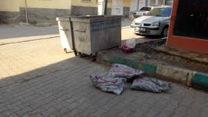 Devletin Verdiği Kömürü Çöpe Attılar